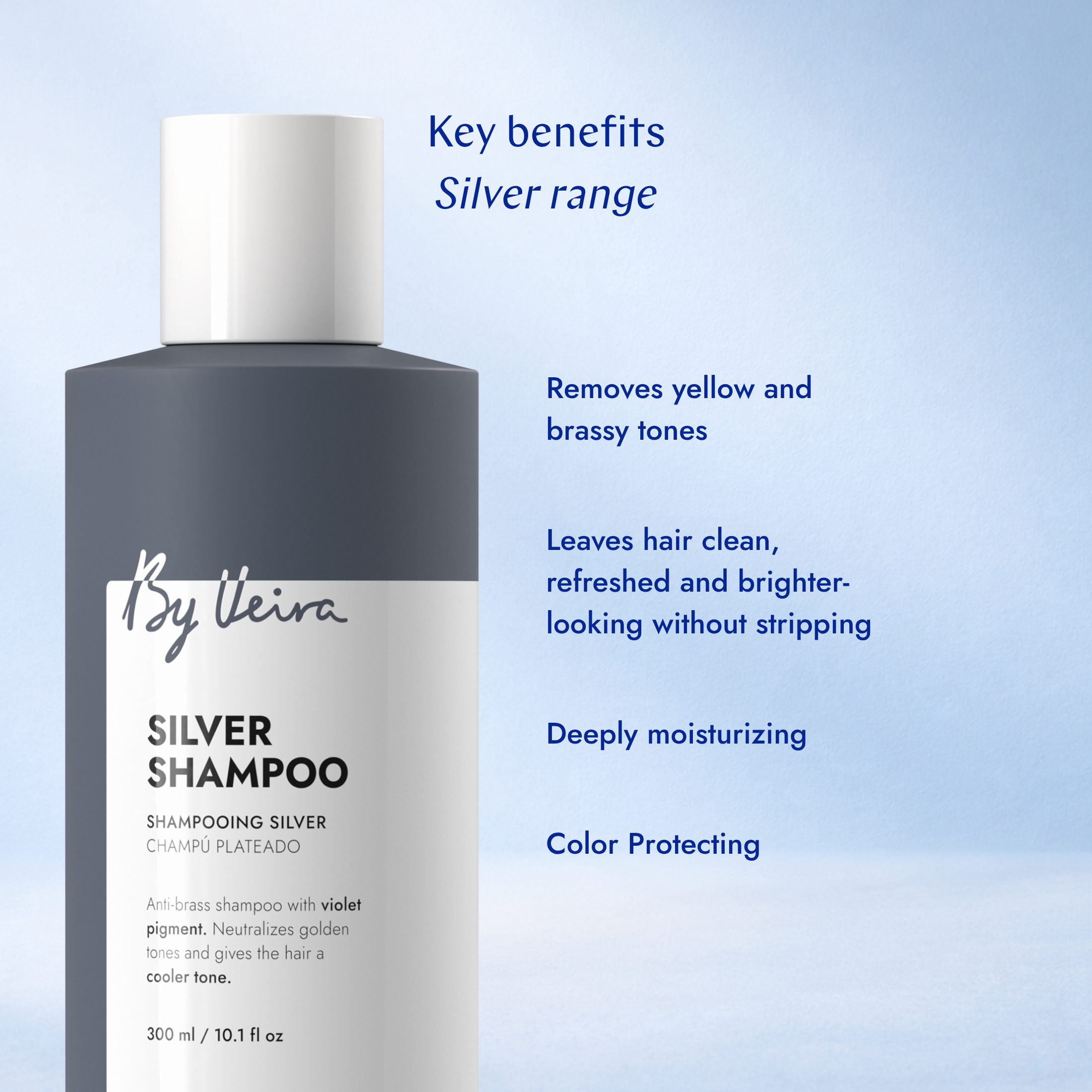 Silver Leave-in treatment